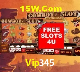 Exclusive Offers Vip345